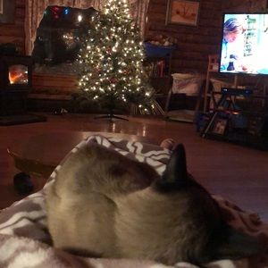 Meet your Posher, Rene